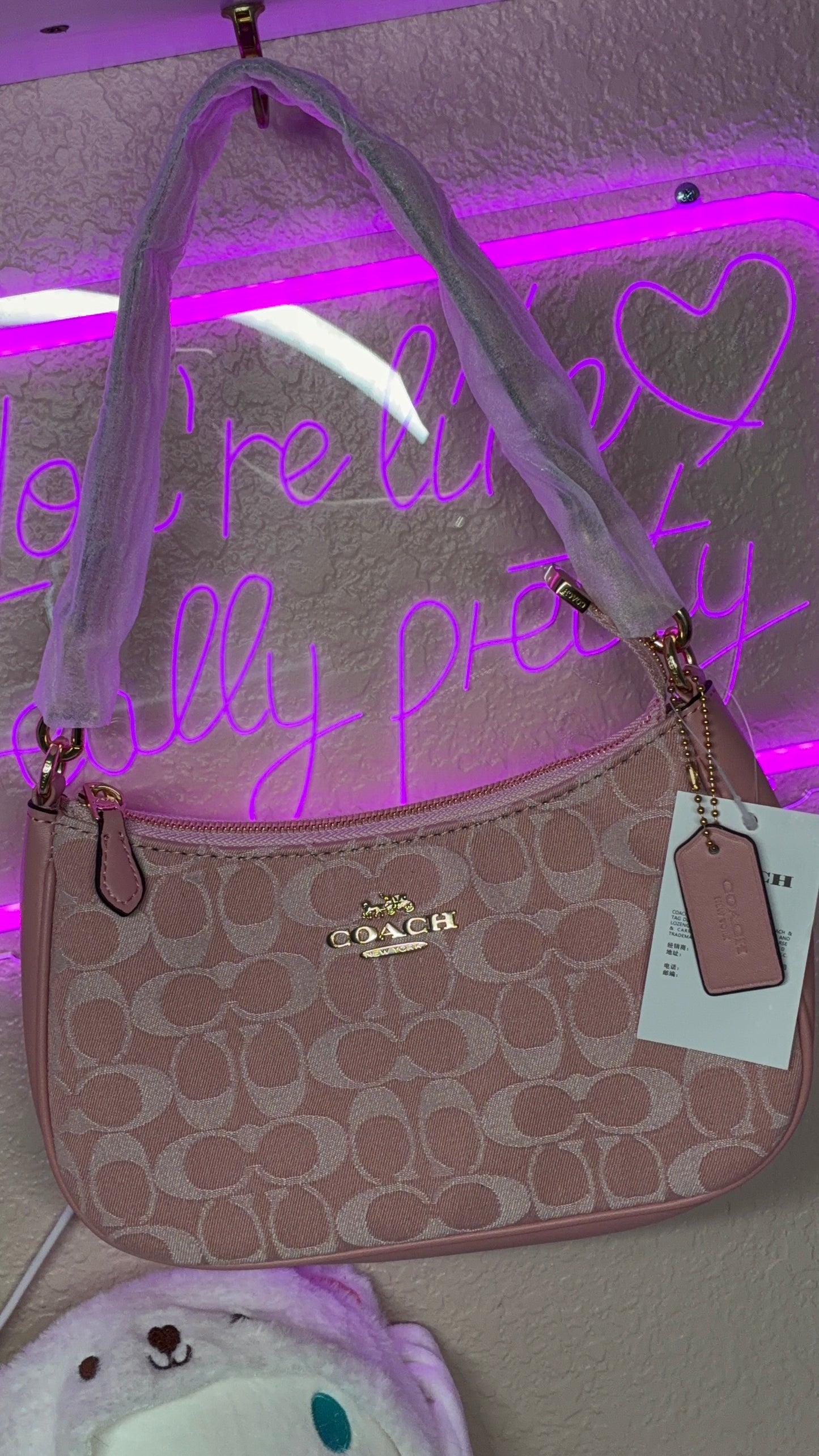 Coach Teri Shoulder Bag – Signature Canvas Pink