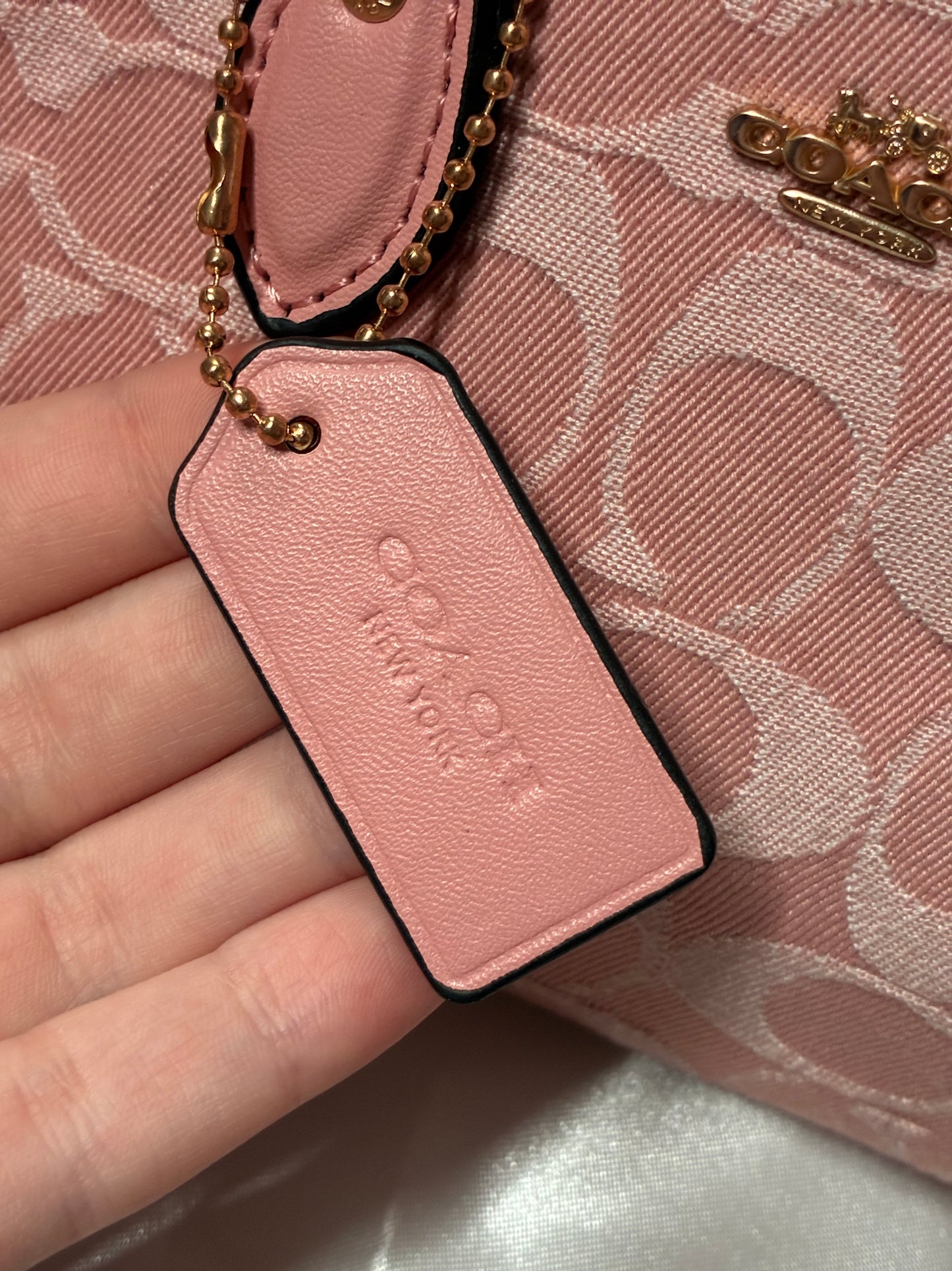 Coach Mini Rowan Crossbody Bag in Signature Canvas – Powder Pink