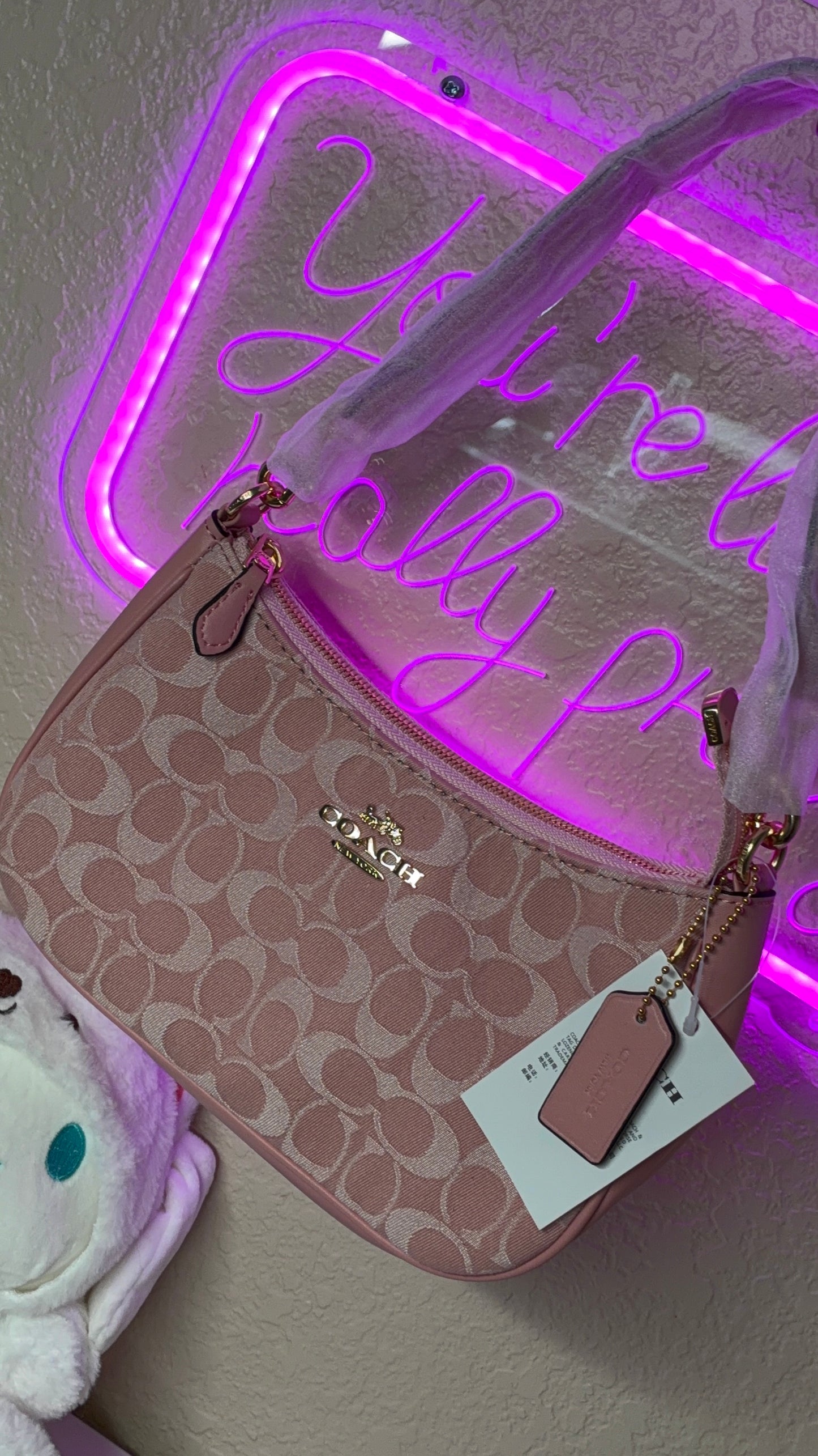 Coach Teri Shoulder Bag – Signature Canvas Pink